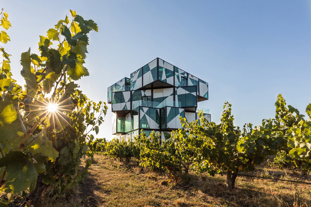 D'arenberg cube architectural building that looks like a giant Rubik's cube with grape fines in the foreground